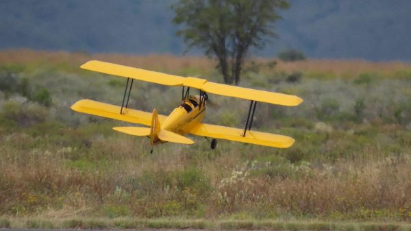 Great Planes Tiger Moth. Used Model With OS 91 FS Surpass Engine (Code 441) - Image 14